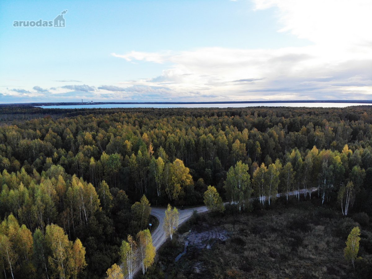 Parduodamas 16,92 a namų valdos sklypas - nuotraukos Nr. 5