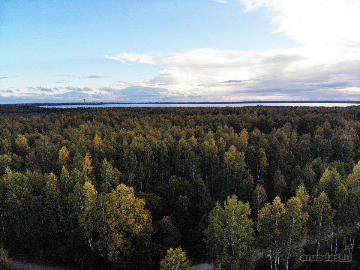 Parduodamas 16,92 a namų valdos sklypas - nuotraukos Nr. 6