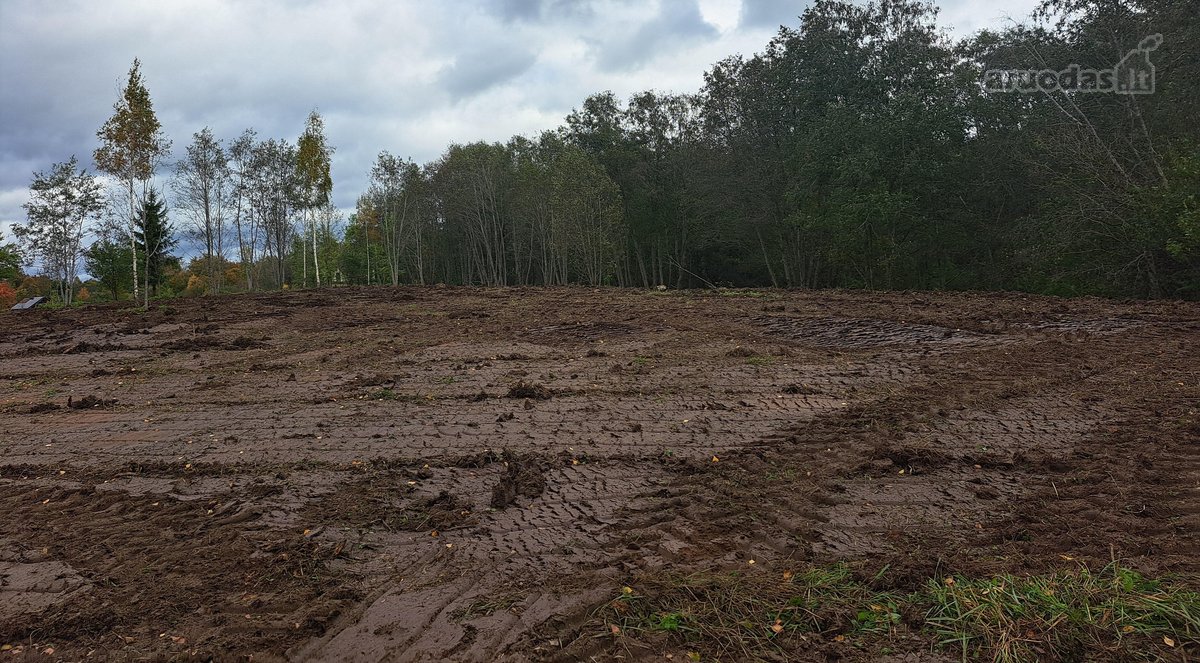 1,36 ha namų valdos sklypas prie Bebrusų upės - nuotraukos Nr. 9