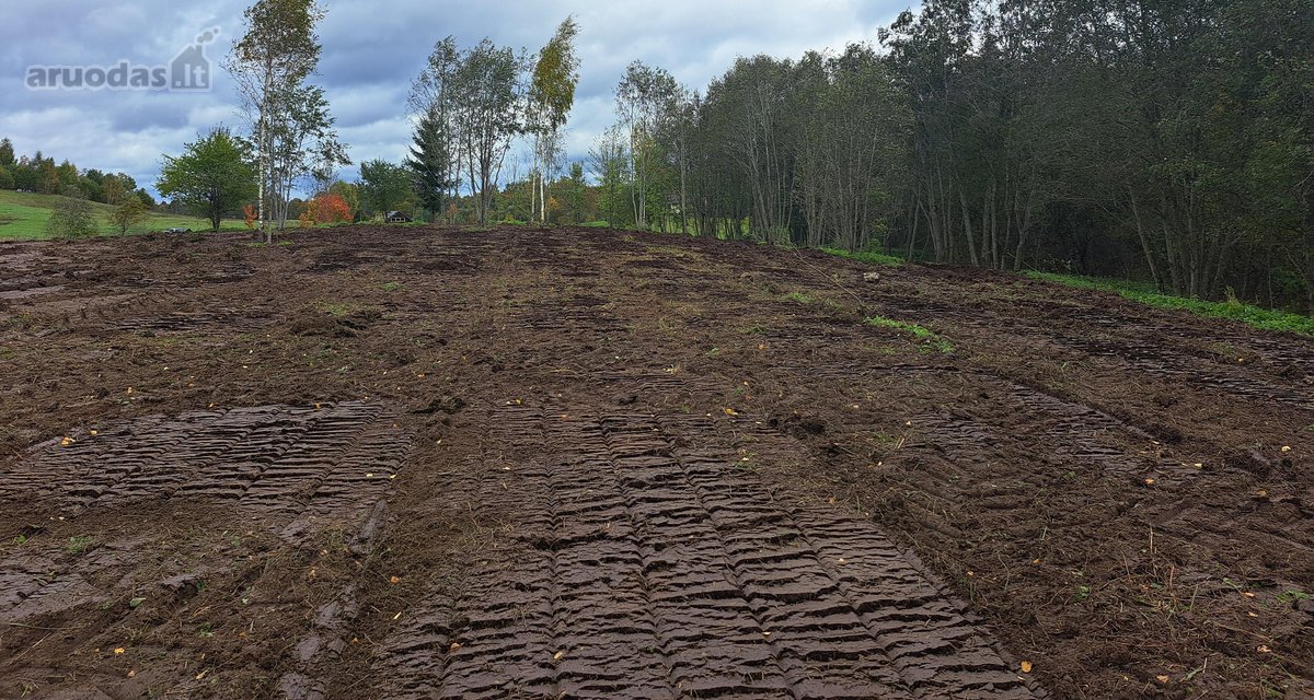 1,36 ha namų valdos sklypas prie Bebrusų upės - nuotraukos Nr. 10