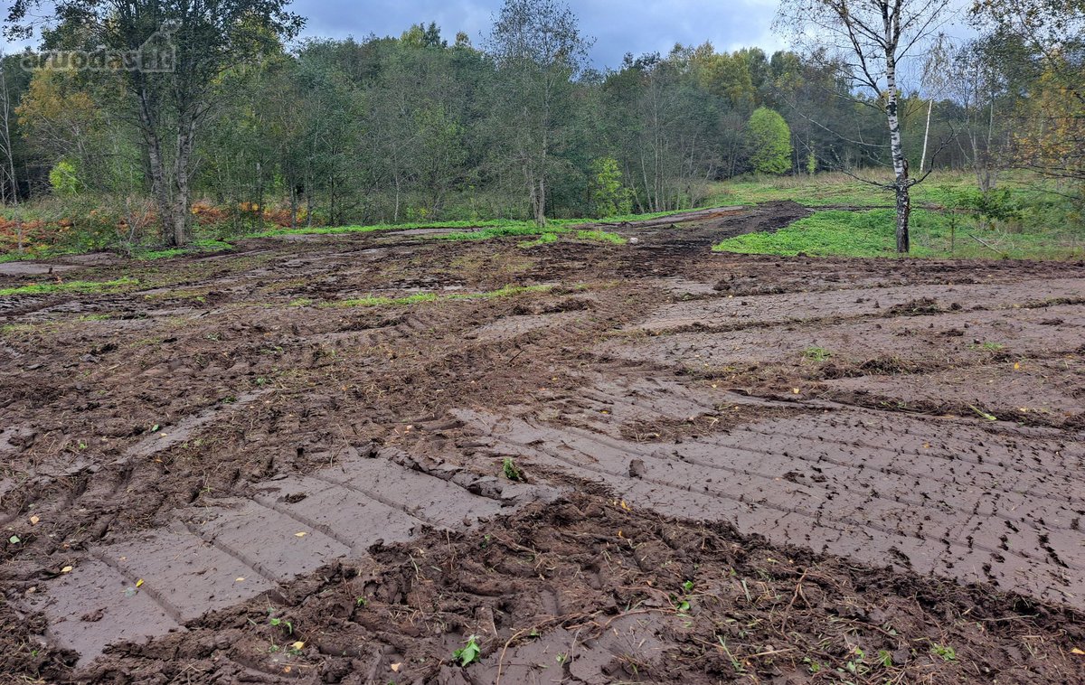 1,36 ha namų valdos sklypas prie Bebrusų upės - nuotraukos Nr. 11