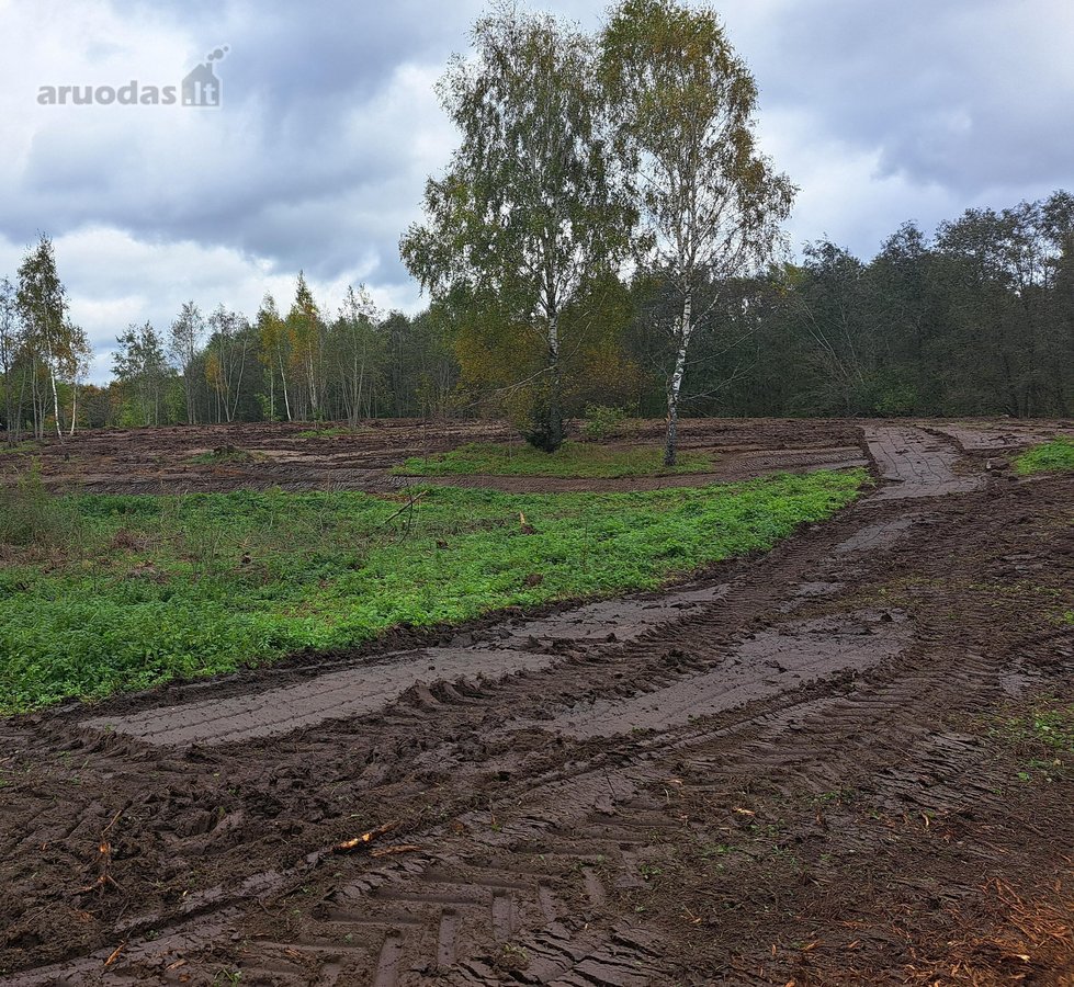 1,36 ha namų valdos sklypas prie Bebrusų upės - nuotraukos Nr. 13