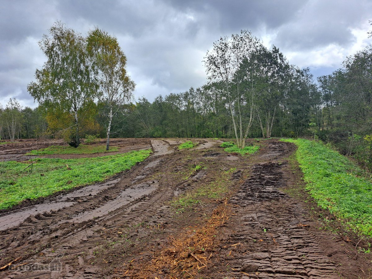 1,36 ha namų valdos sklypas prie Bebrusų upės - nuotraukos Nr. 14