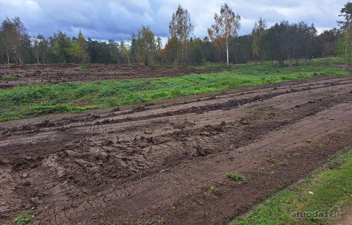 1,36 ha namų valdos sklypas prie Bebrusų upės - nuotraukos Nr. 16
