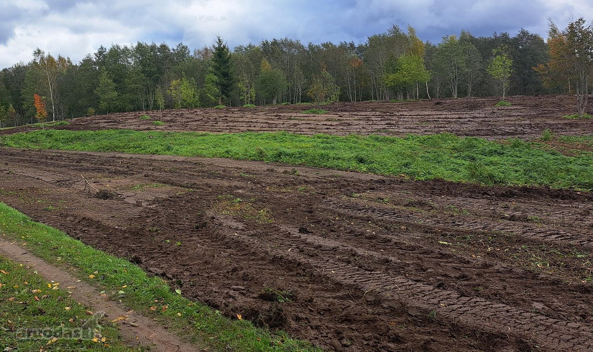 1,36 ha namų valdos sklypas prie Bebrusų upės - nuotraukos Nr. 17