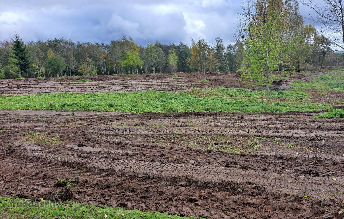 1,36 ha namų valdos sklypas prie Bebrusų upės - nuotraukos Nr. 18