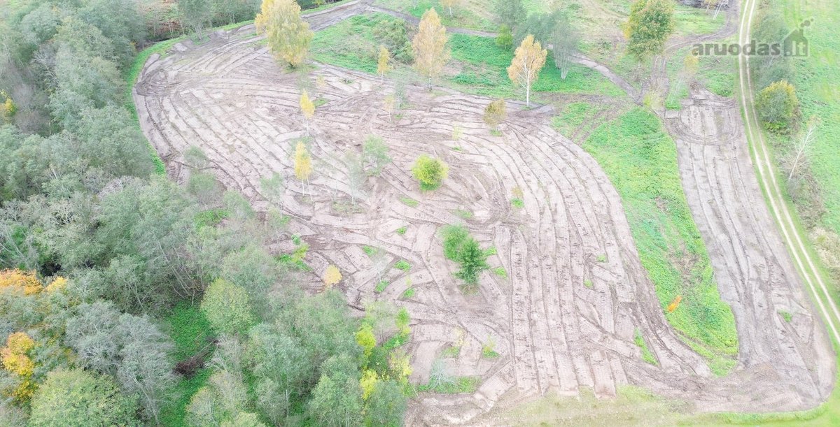 1,36 ha namų valdos sklypas prie Bebrusų upės - nuotraukos Nr. 2