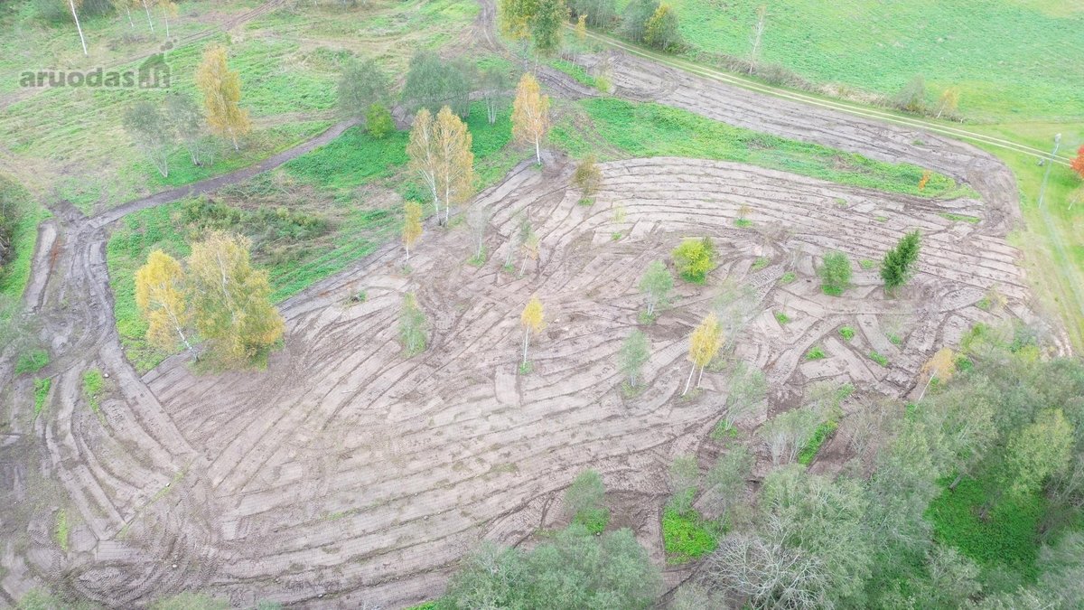 1,36 ha namų valdos sklypas prie Bebrusų upės - nuotraukos Nr. 7