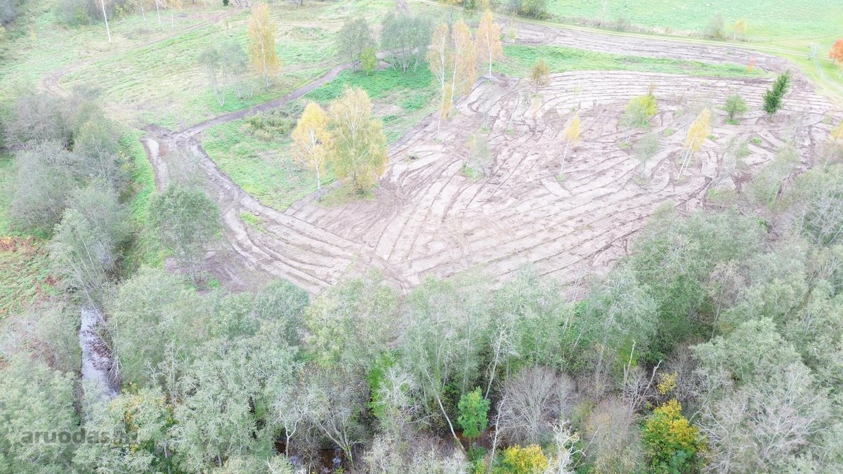 1,36 ha namų valdos sklypas prie Bebrusų upės - nuotraukos Nr. 6