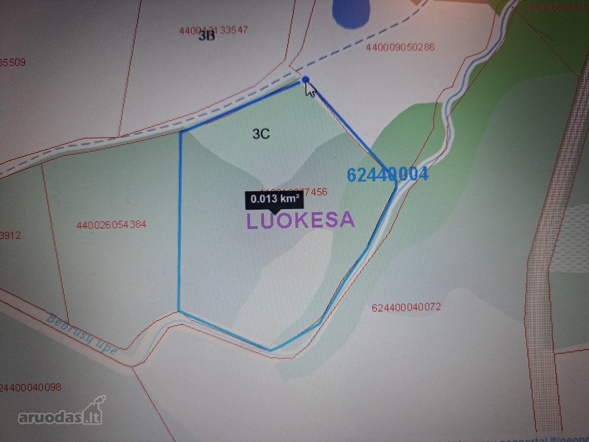 1,36 ha namų valdos sklypas prie Bebrusų upės - nuotraukos Nr. 19