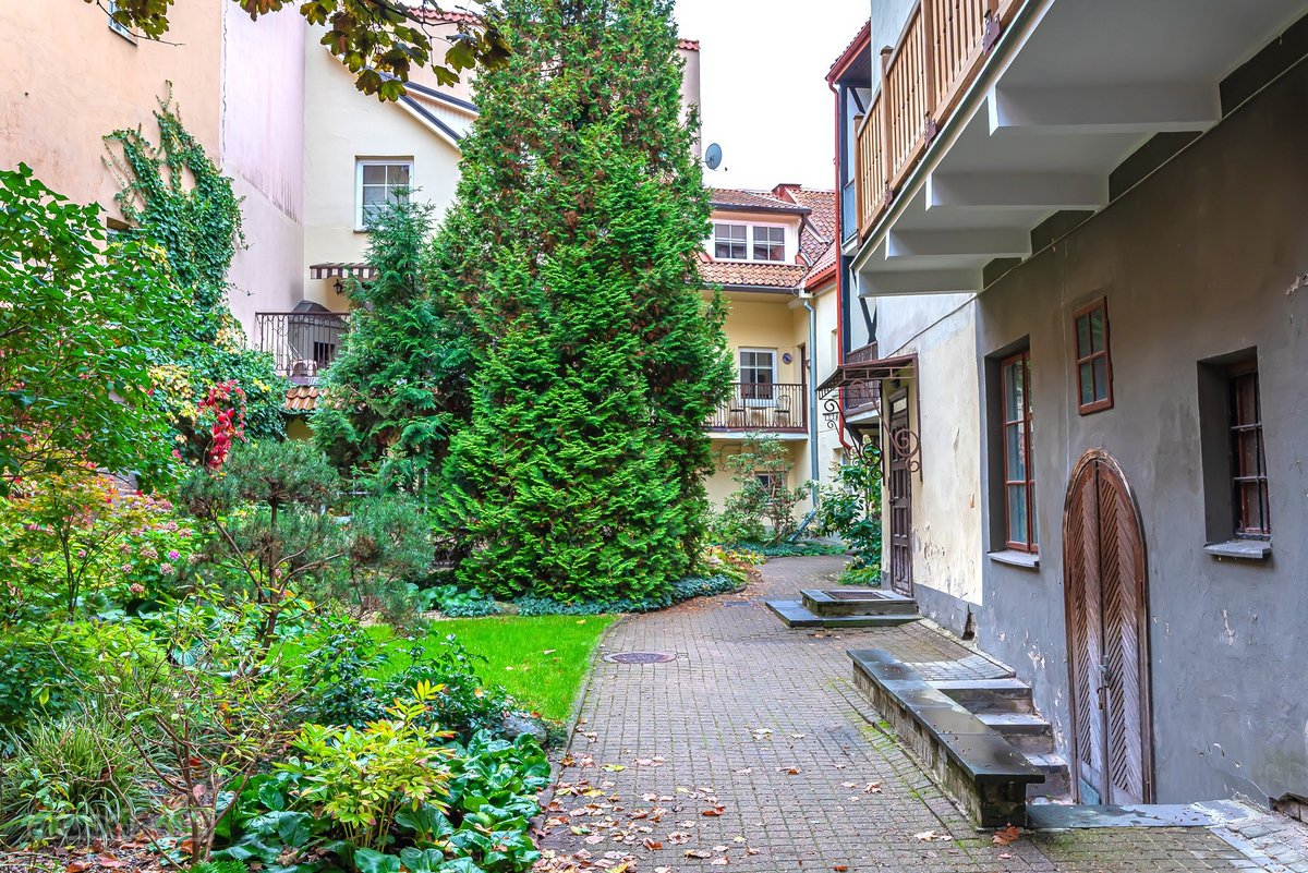Išnuomojamas erdvus 2/3 kambarių butas - nuotraukos Nr. 25