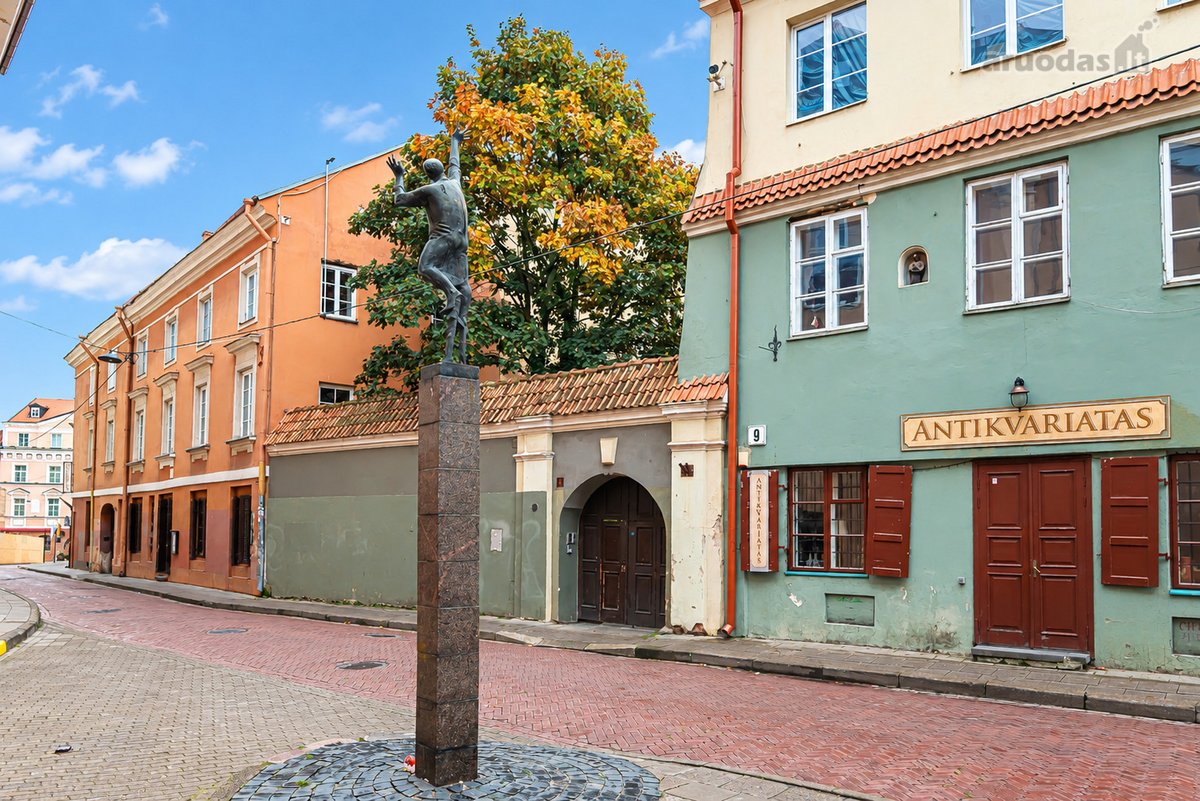 Išnuomojamas erdvus 2/3 kambarių butas - nuotraukos Nr. 26