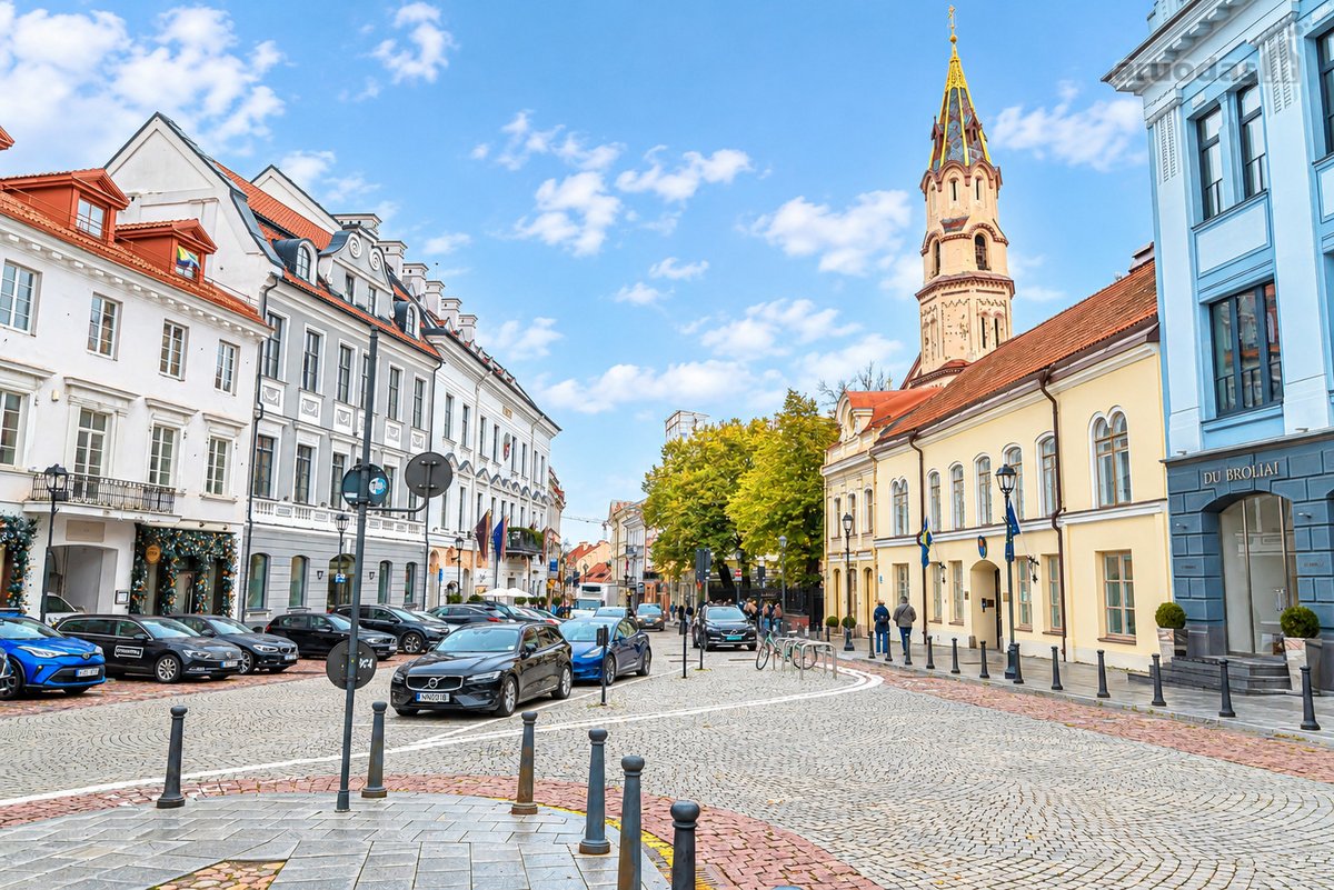 Išnuomojamas erdvus 2/3 kambarių butas - nuotraukos Nr. 28