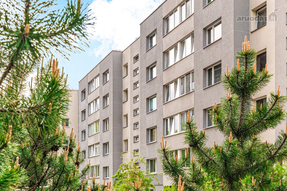 Parduodamas 1 Kambario Butas Šalia Vingio Parko - nuotraukos Nr. 16