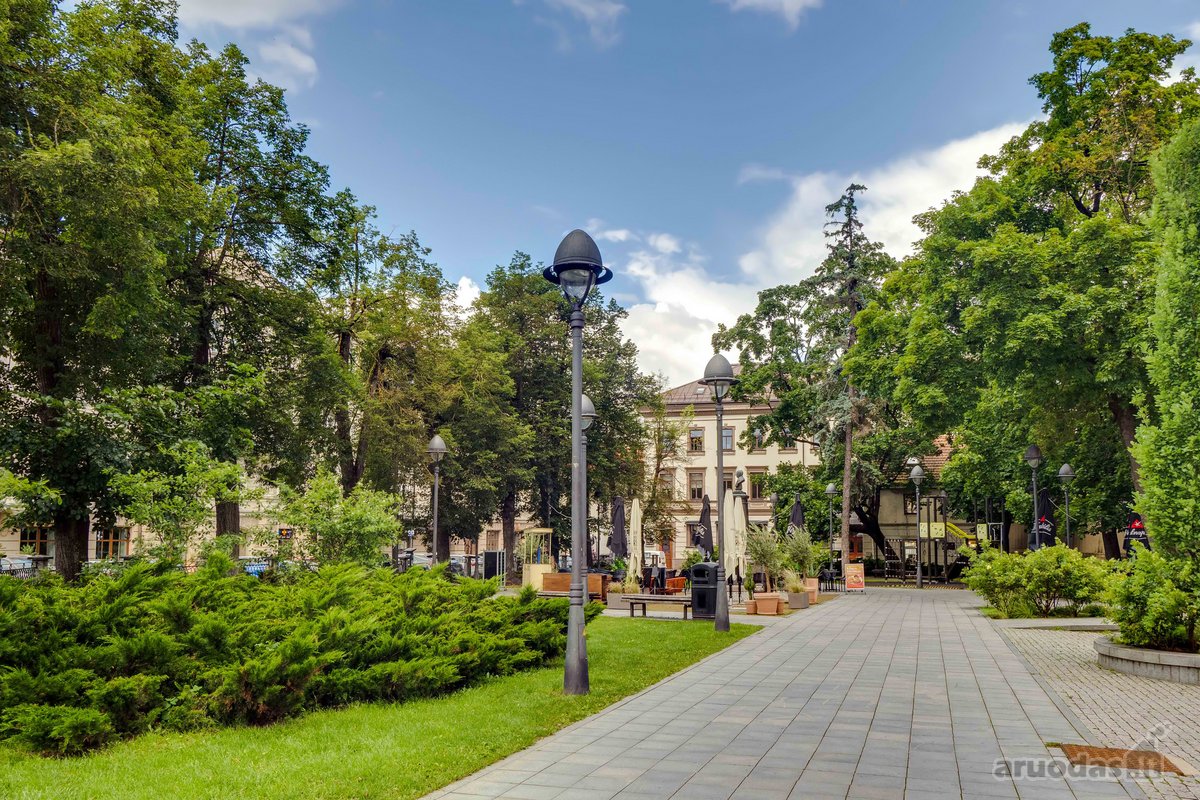 Išnuomojamas jaukus 2 kambarių butas Vilniaus - nuotraukos Nr. 27