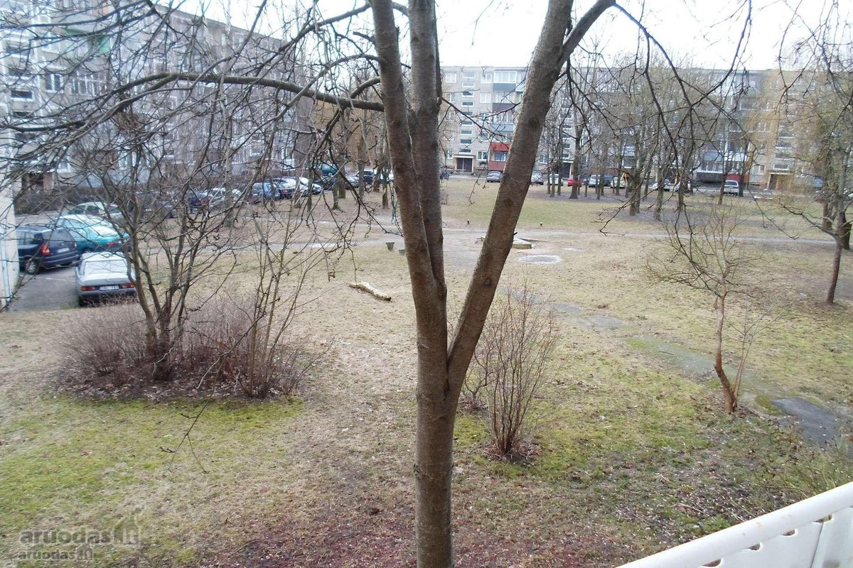 Nuomoja buto savininkas, be tarpininku  - nuotraukos Nr. 11