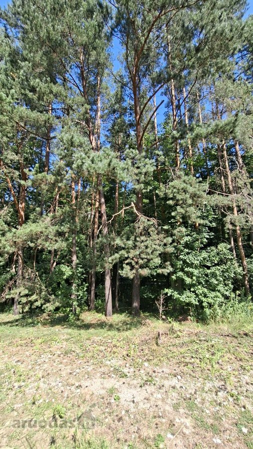 Sklypas Privačių Namų Gyvenvietėje, - nuotraukos Nr. 7