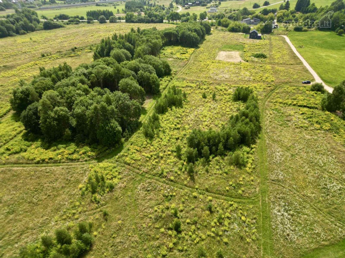 Parduodamas Sklypas Vienbučių Ir Dvibučių - nuotraukos Nr. 13