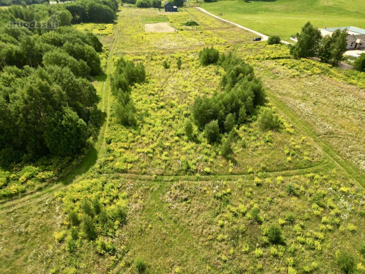 Parduodamas Sklypas Vienbučių Ir Dvibučių - nuotraukos Nr. 14