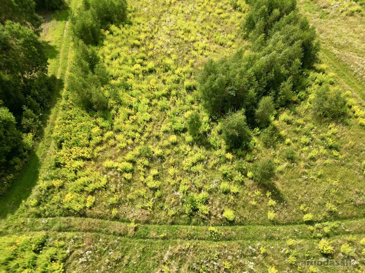 Parduodamas Sklypas Vienbučių Ir Dvibučių - nuotraukos Nr. 15