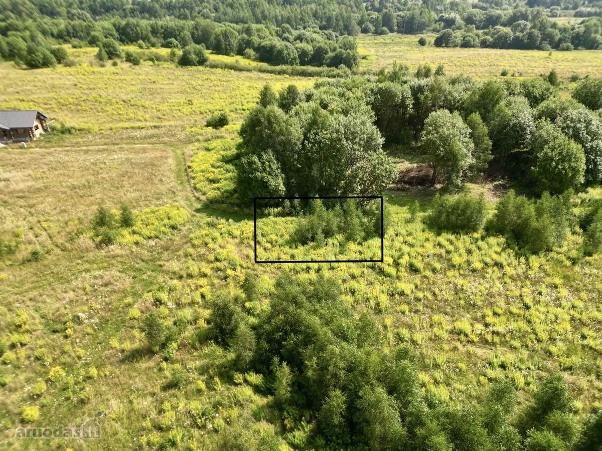 Parduodamas Sklypas Vienbučių Ir Dvibučių - nuotraukos Nr. 11