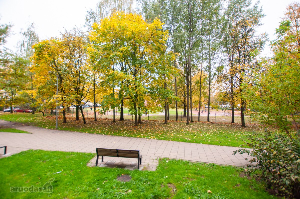 Šviesus Ir Šiltas 2 Atskirų Kambarių Butas - nuotraukos Nr. 11