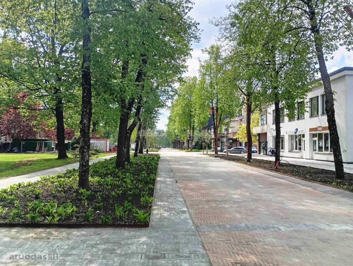 Gyventi ir poilsiauti Druskininkuose, reiškia - nuotraukos Nr. 22
