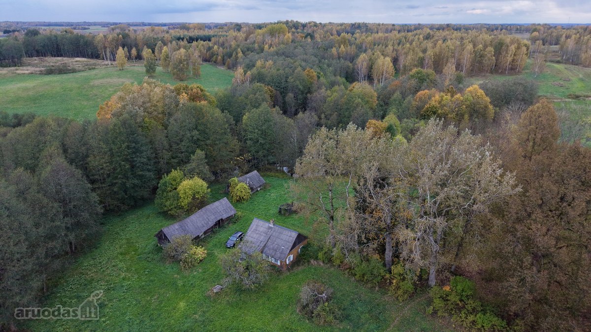 Parduodama sodyba 8hektarau sklypas turi savo - nuotraukos Nr. 6