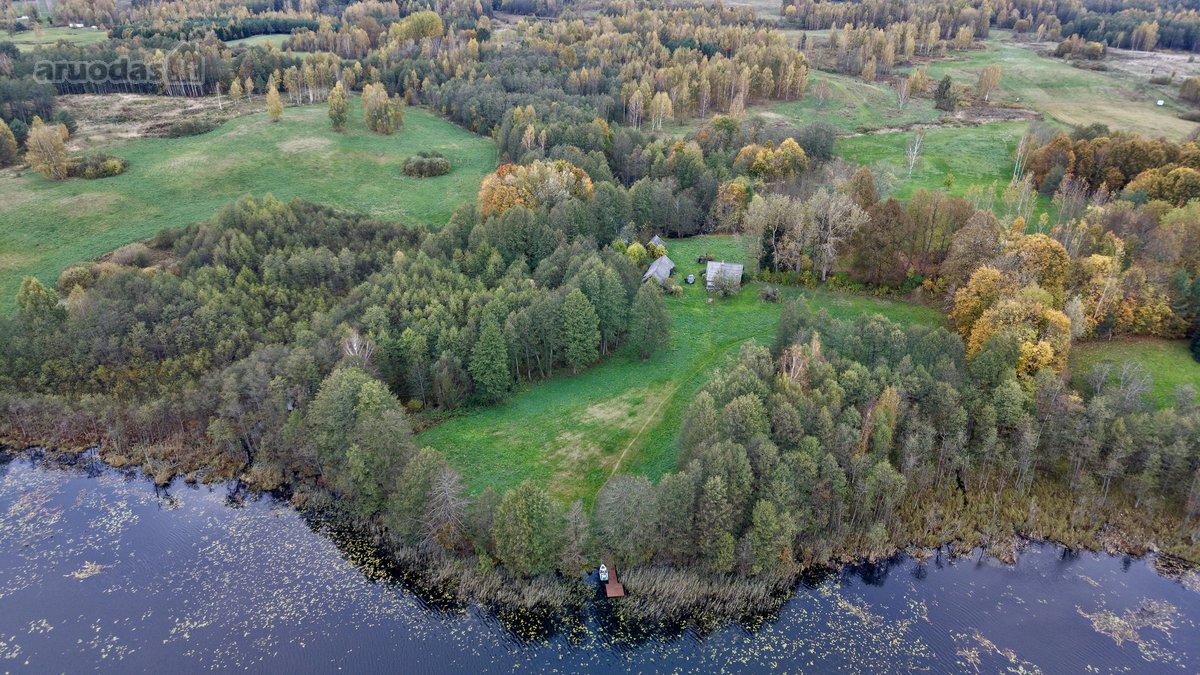 Parduodama sodyba 8hektarau sklypas turi savo - nuotraukos Nr. 8