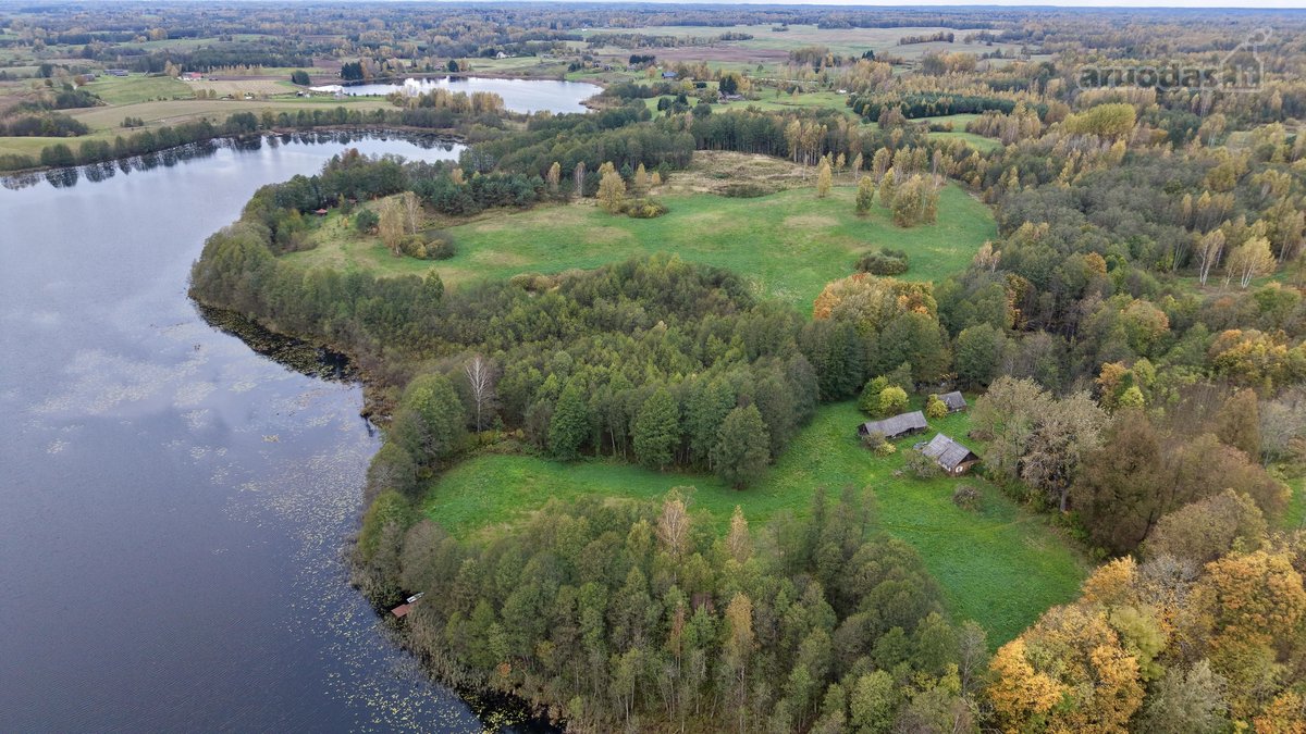 Parduodama sodyba 8hektarau sklypas turi savo - nuotraukos Nr. 11