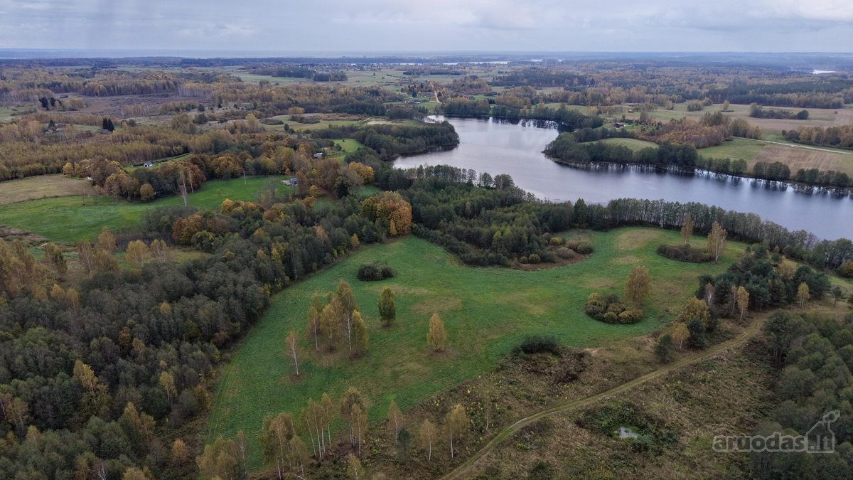 Parduodama sodyba 8hektarau sklypas turi savo - nuotraukos Nr. 15