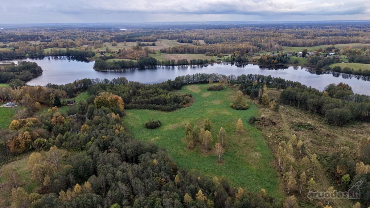 Parduodama sodyba 8hektarau sklypas turi savo - nuotraukos Nr. 16