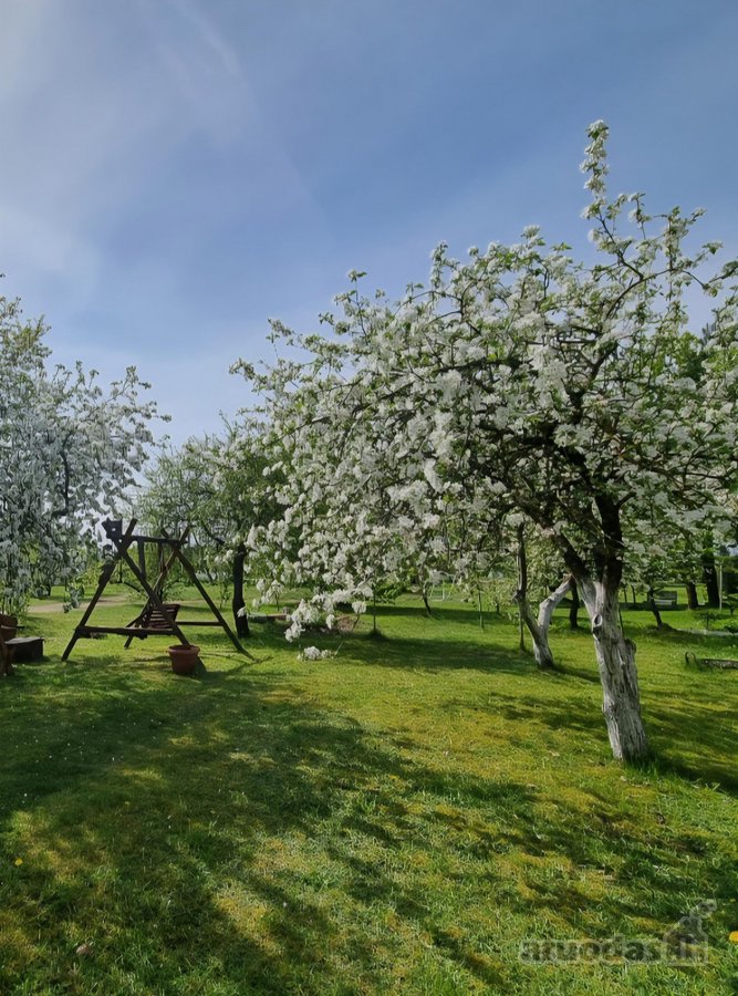 Parduodamas Erdvus 2 K. Butas Svėdasuose - nuotraukos Nr. 11