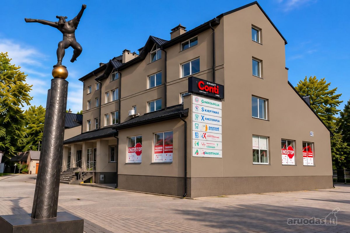 Išnuomojamos Komercinės Įvairaus Ploto - nuotraukos Nr. 2