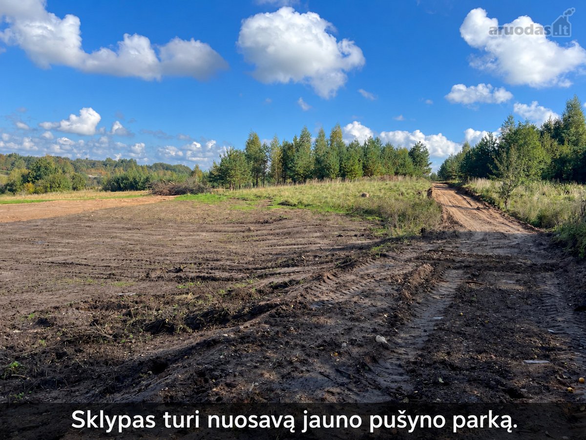 Parduodamas 136,78 a žemės sklypas Sieto g. - nuotraukos Nr. 7