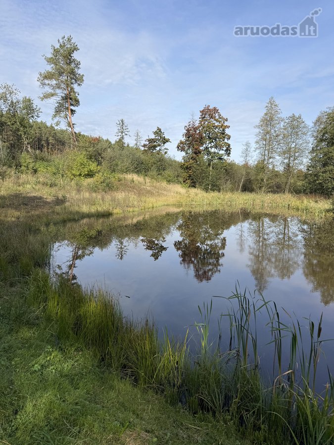 Parduodamas gražioje vietoje sklypas Jonavos - nuotraukos Nr. 5