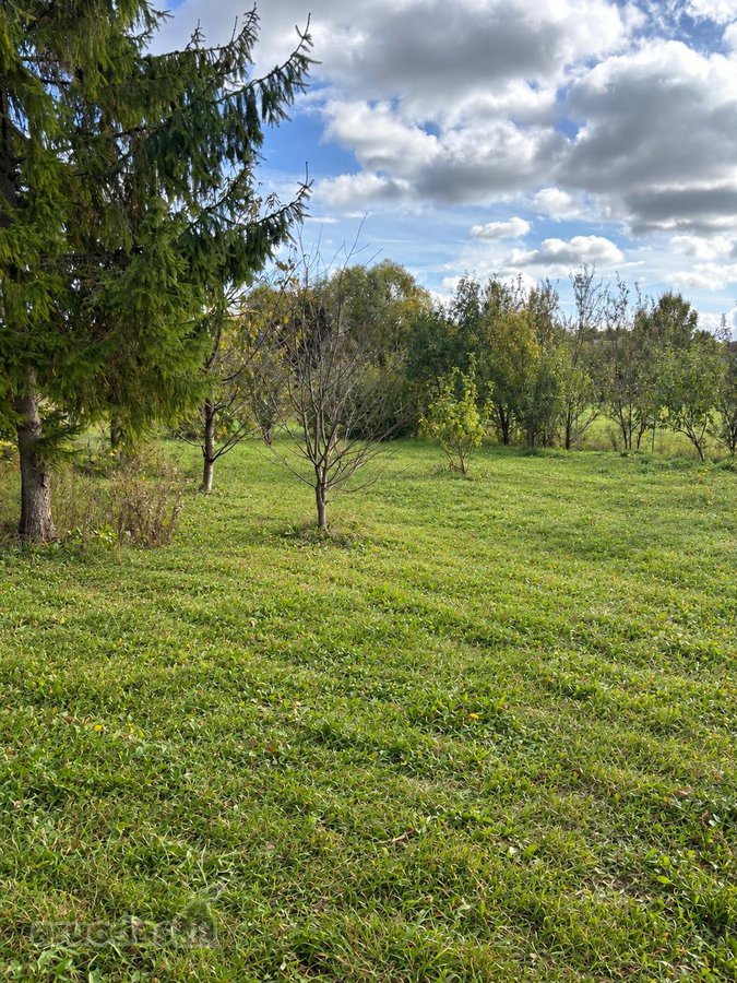 Parduodamas erdvus 25,39 a sklypas ramioje ir - nuotraukos Nr. 9