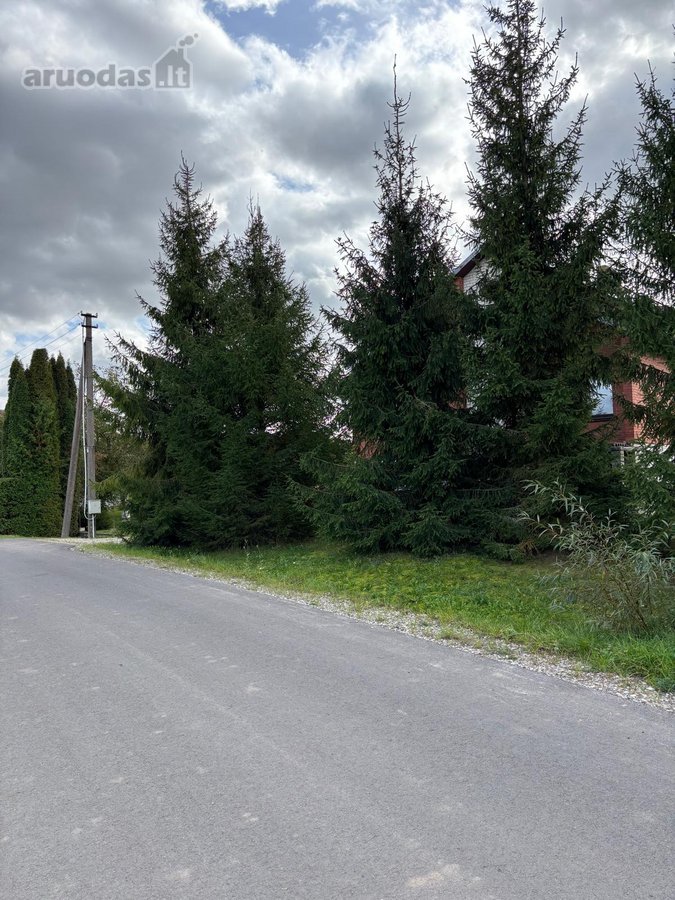 Parduodamas erdvus 25,39 a sklypas ramioje ir - nuotraukos Nr. 10
