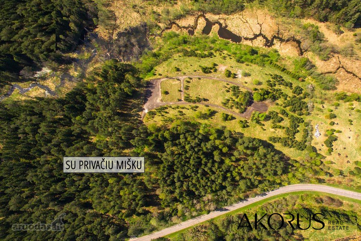 Verta Žinoti - nuotraukos Nr. 8