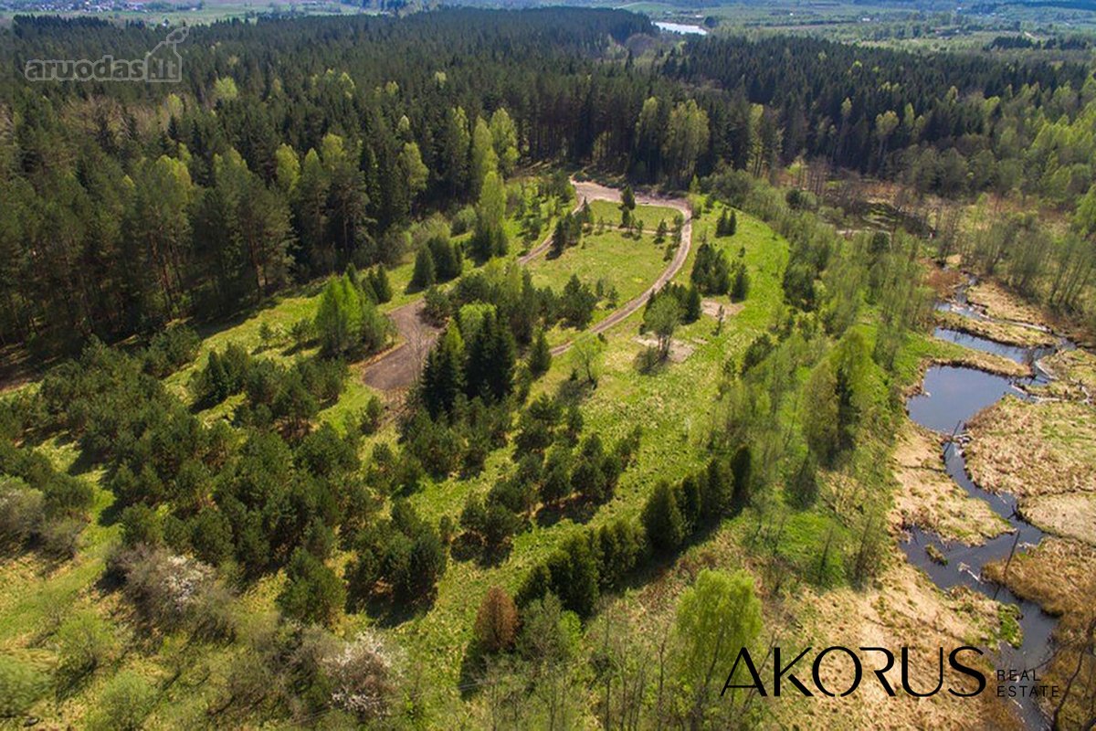 Verta Žinoti - nuotraukos Nr. 10