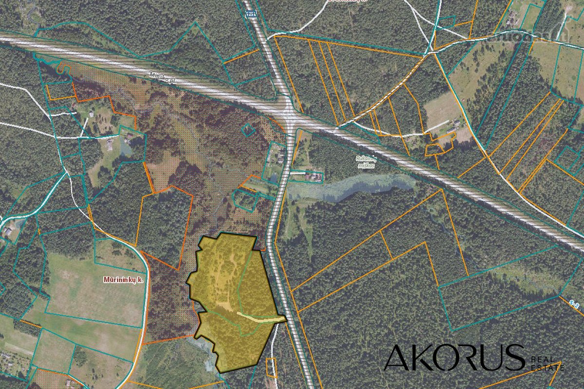 Verta Žinoti - nuotraukos Nr. 13