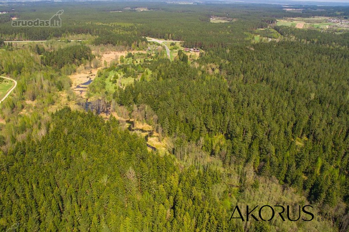 Verta Žinoti - nuotraukos Nr. 14
