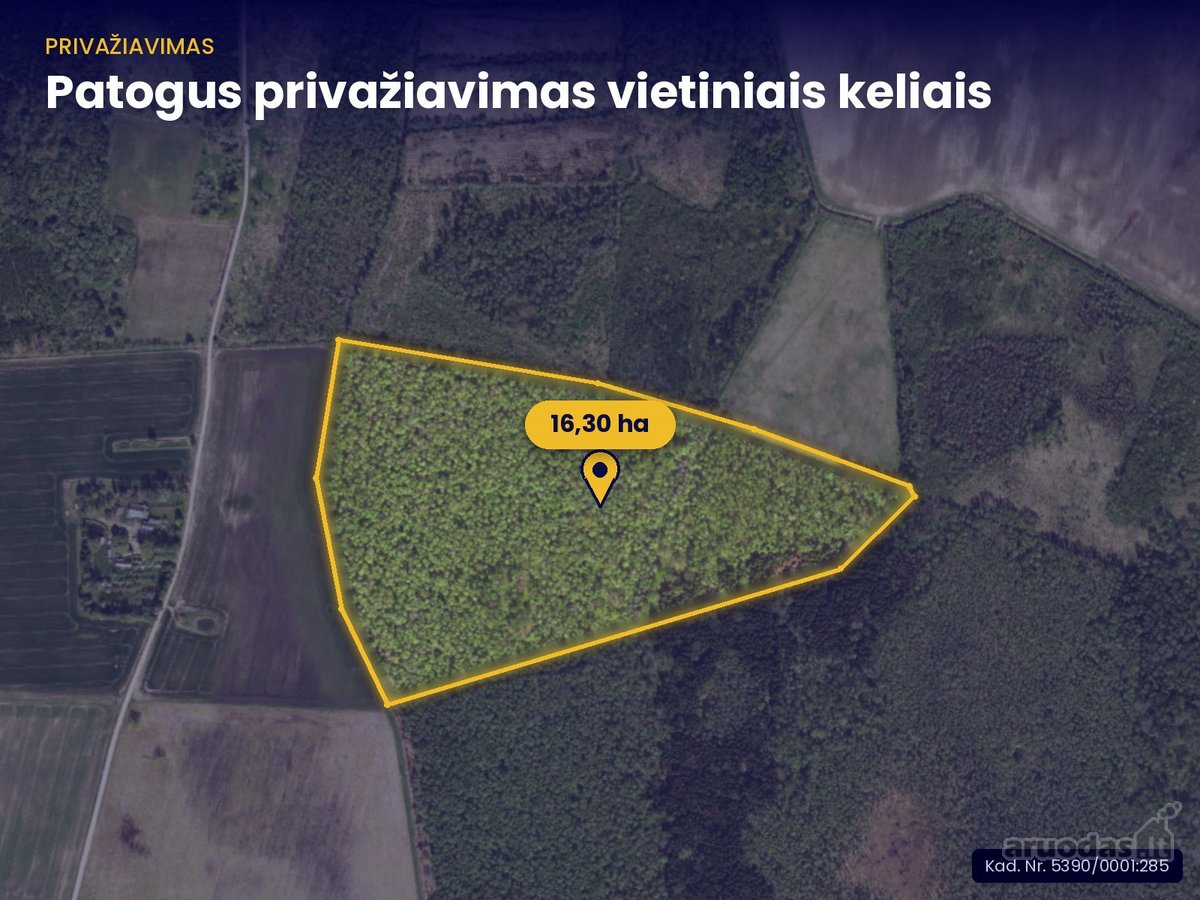  Parduodamas  brandus lapuočių miškas 16,30 - nuotraukos Nr. 4
