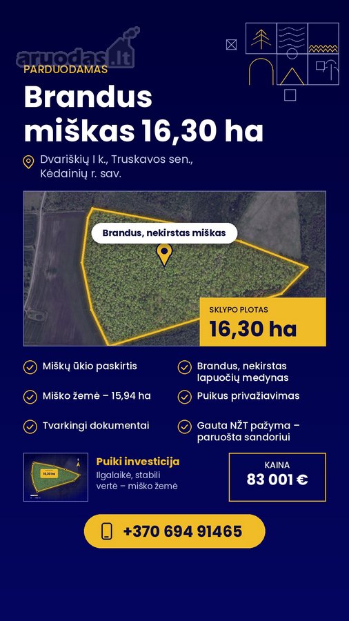  Parduodamas  brandus lapuočių miškas 16,30 - nuotraukos Nr. 2