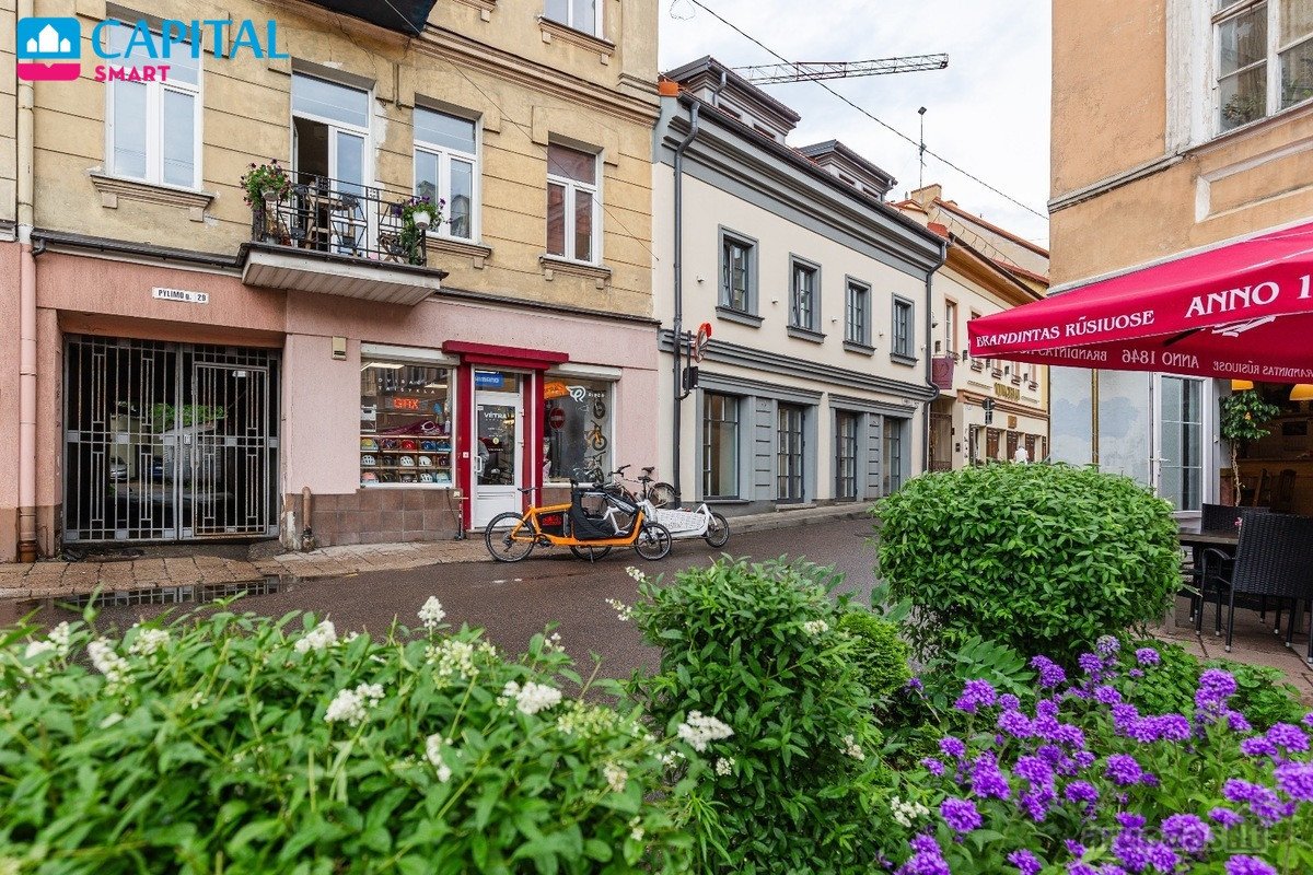 Nuomojamas Šviesus 2 Kambarių Butas Pačioje - nuotraukos Nr. 21