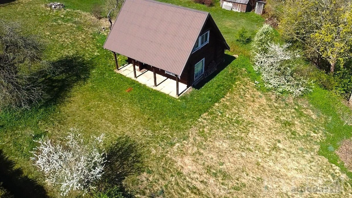 Labanoro girios apsuptyje, jaukiame ir - nuotraukos Nr. 7