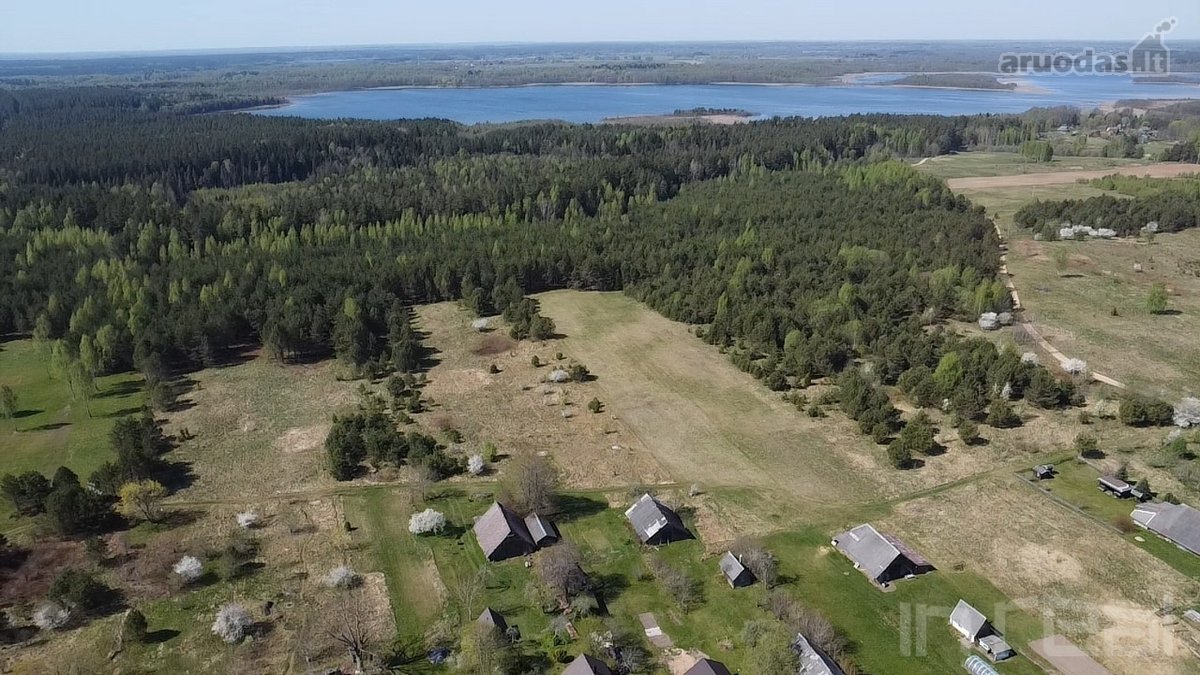 Labanoro girios apsuptyje, jaukiame ir - nuotraukos Nr. 8