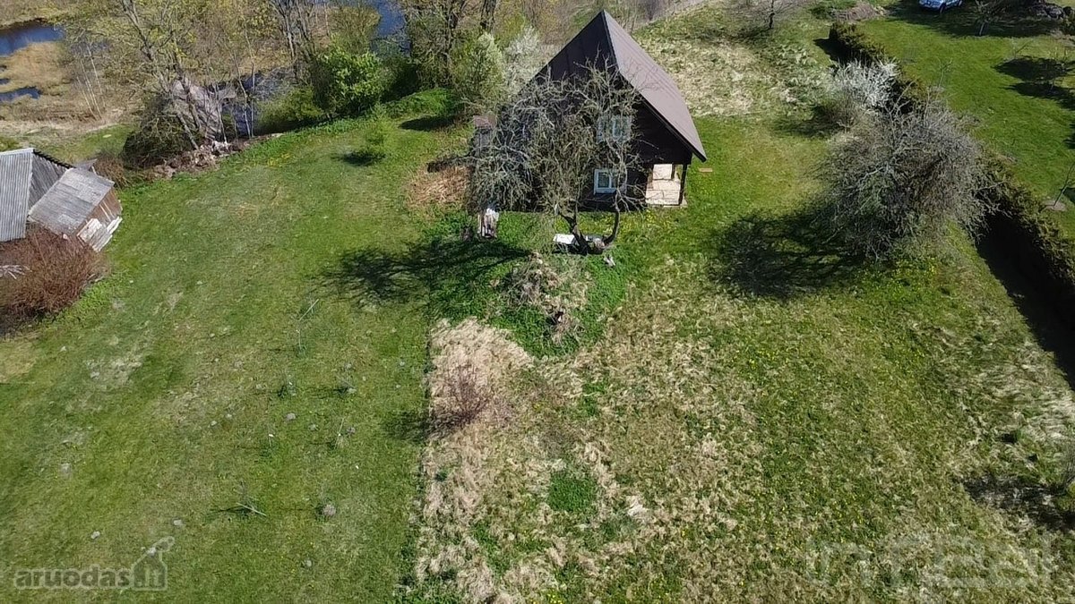 Labanoro girios apsuptyje, jaukiame ir - nuotraukos Nr. 10