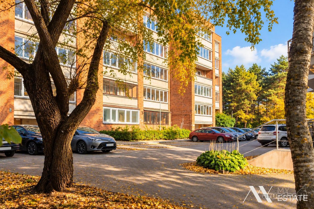 Jūra, pušynas ir Palangos gyvenimas čia tampa - nuotraukos Nr. 19