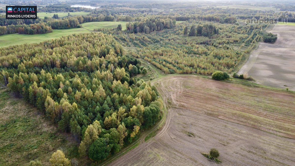 Parduodamas žemės 3,5 ha žemės ūkio - nuotraukos Nr. 5